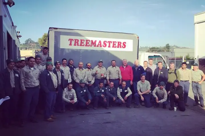Local arborists - Treemasters in San Rafael and the Bay Area