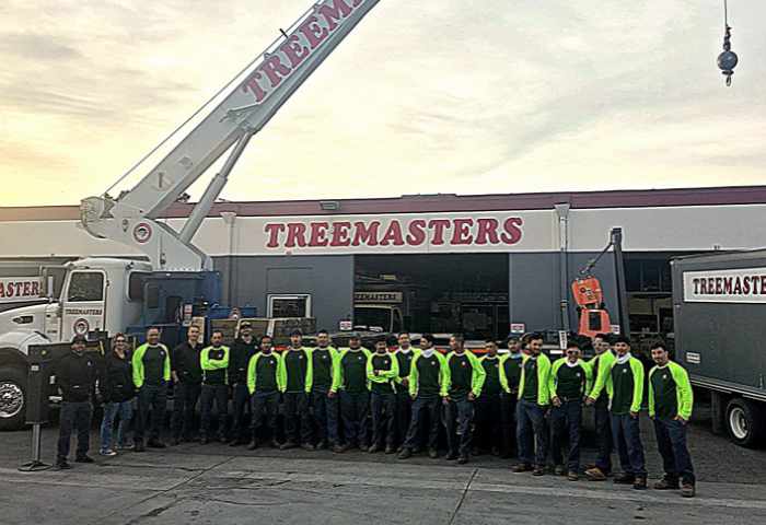 Treemasters Crew